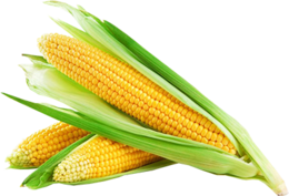 vegetables & Corn free transparent png image.