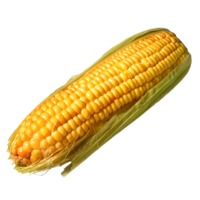 vegetables & Corn free transparent png image.