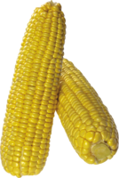 vegetables & corn free transparent png image.