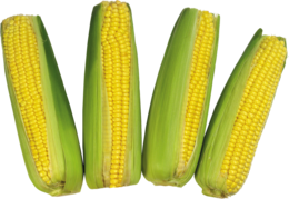 vegetables & Corn free transparent png image.