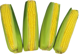 vegetables & corn free transparent png image.