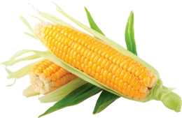 vegetables & corn free transparent png image.