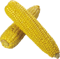 vegetables & corn free transparent png image.