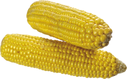 vegetables & Corn free transparent png image.