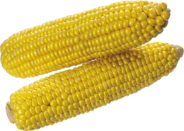 vegetables & Corn free transparent png image.