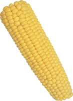 vegetables & corn free transparent png image.