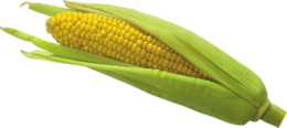 vegetables & Corn free transparent png image.