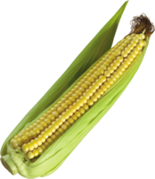 vegetables & corn free transparent png image.