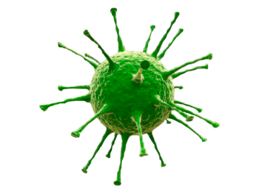 miscellaneous & Coronavirus COVID-19 free transparent png image.