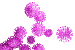 miscellaneous & Coronavirus COVID-19 free transparent png image.