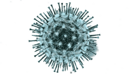 miscellaneous & Coronavirus COVID-19 free transparent png image.