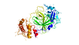 miscellaneous & Coronavirus COVID-19 free transparent png image.