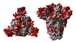 miscellaneous & Coronavirus COVID-19 free transparent png image.