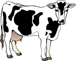 animals & Cow free transparent png image.