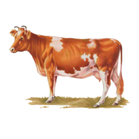 animals & Cow free transparent png image.