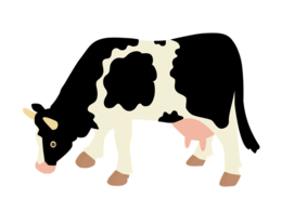 animals & cow free transparent png image.