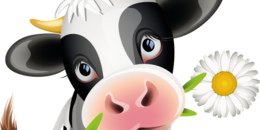 animals & cow free transparent png image.