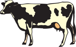 animals & Cow free transparent png image.