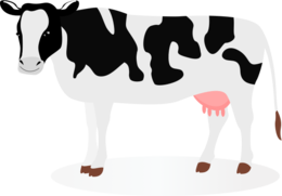 animals & cow free transparent png image.