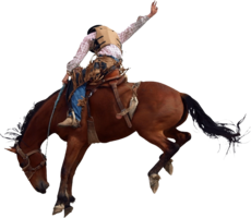 people & cowboy free transparent png image.