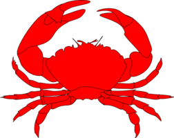animals & Crab free transparent png image.