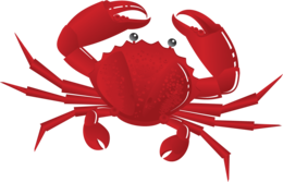 animals & crab free transparent png image.