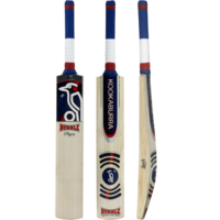 sport & cricket free transparent png image.