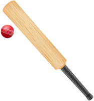 sport & cricket free transparent png image.