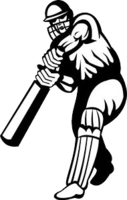 sport & Cricket free transparent png image.