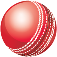 sport & cricket free transparent png image.