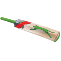 sport & Cricket free transparent png image.