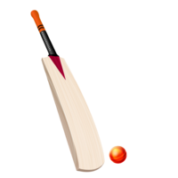 sport & cricket free transparent png image.