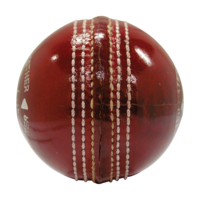 sport & cricket free transparent png image.