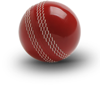 sport & cricket free transparent png image.
