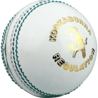 sport & cricket free transparent png image.