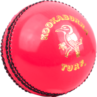 sport & cricket free transparent png image.