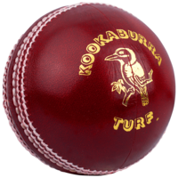 sport & cricket free transparent png image.