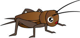 insects & cricket insect free transparent png image.