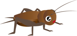 insects & Cricket insect free transparent png image.