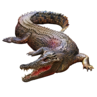 animals & crocodile free transparent png image.