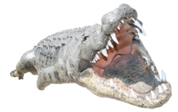 animals & crocodile free transparent png image.