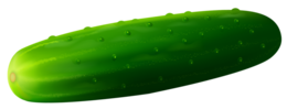 vegetables & cucumber free transparent png image.