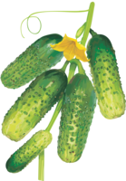 vegetables & Cucumber free transparent png image.