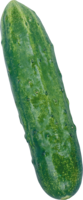 vegetables & Cucumber free transparent png image.