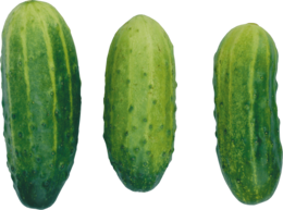 vegetables & cucumber free transparent png image.