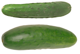 vegetables & cucumber free transparent png image.