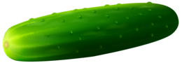 vegetables & cucumber free transparent png image.