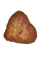 food & cutlet free transparent png image.