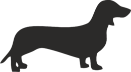 animals & Dachshund free transparent png image.