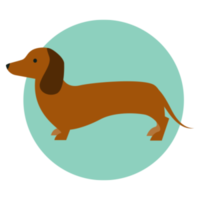 animals & Dachshund free transparent png image.